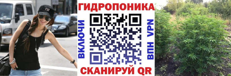 Купить наркотики сайты Лосино-Петровский Гашиш  Cocaine  Мефедрон  Альфа ПВП  Конопля 