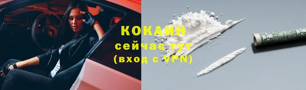 сатива Лихославль