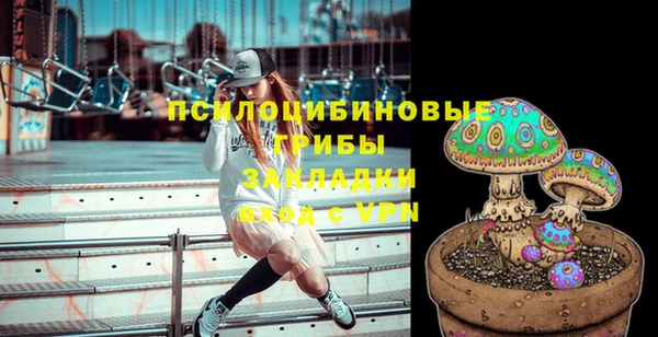 твердый Майский