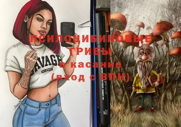 СК Магадан