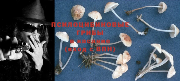 PSILOCYBIN Заволжье