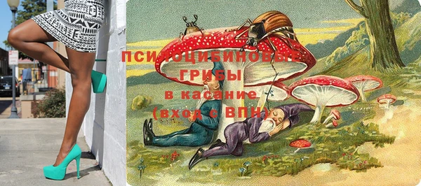 твердый Майский