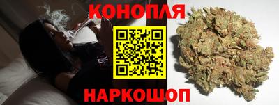 МДПВ Гатчина