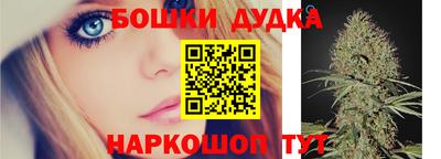 амф Гай