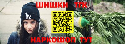 МДПВ Гатчина