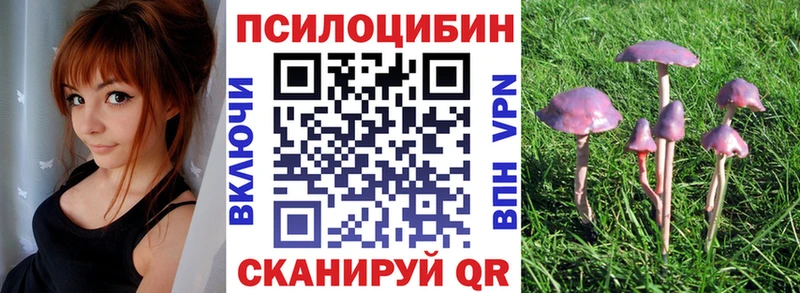 Псилоцибиновые грибы мицелий  Лосино-Петровский 