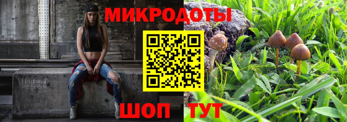 Галлюциногенные грибы Psilocybe  Лосино-Петровский 
