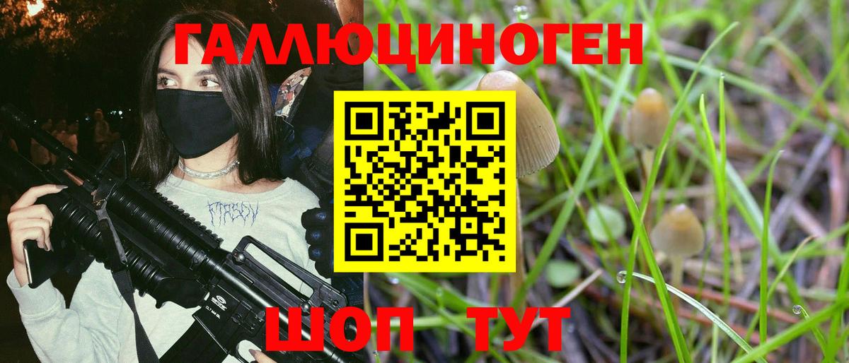 Лосино-Петровский  Псилоцибиновые грибы мицелий  Вход с VPN 