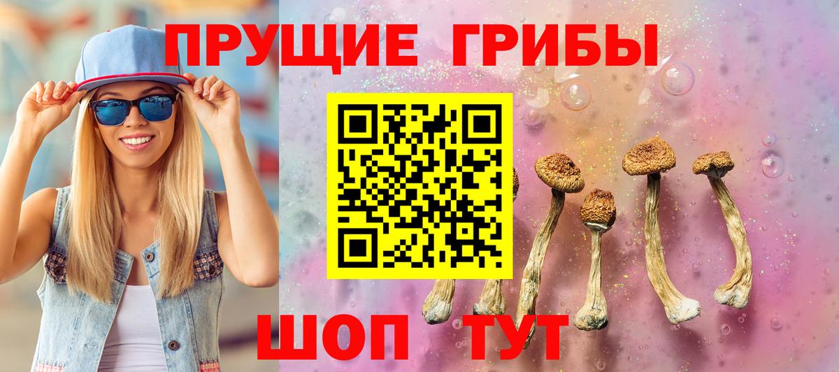 Галлюциногенные грибы мухоморы Лосино-Петровский